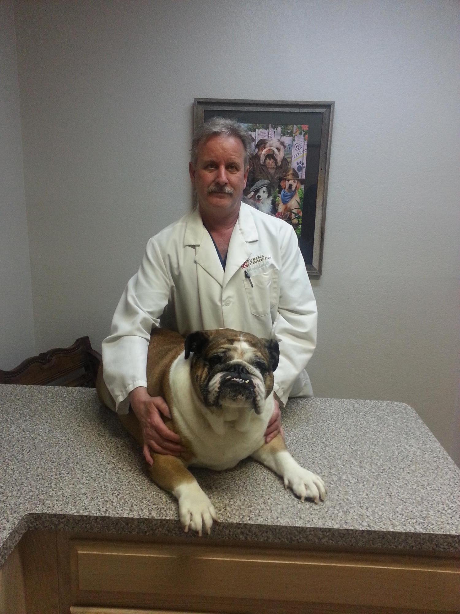 Park Place Pet Hospital - Veterinarian In Southlake, TX USA :: Meet Our Team